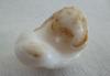 195ct Clam Pearl