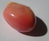 20.92 carats 19mm Pink Conch Pearl