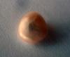 2+ carat Light Pink Natural Freshwater Pearl
