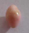 2.6 carats Light Pink Conch Pearl