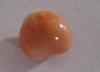 2.1 carats Orange/Pink Baroque Conch Pearl
