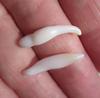 2 Clam Pearls Baroque Elongated 20mm