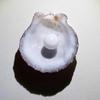 2+ ct Round Clam Pearl with Flame for Sale