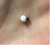 2 pearls attached black and white both round