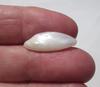21mm Freshwater USA Natural Pearl Spike