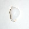 22 Carat Baroque Clam Pearl