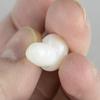 22mm Baroque Clam Pearl
