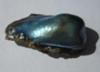 13.85 carats Abalone Pearl