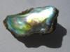 13.85 carats Abalone Pearl