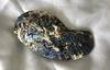 260 carat Abalone - Paua Pearl Iridescent Blue, Purple and Green
