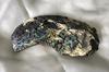 260 carat Abalone - Paua Pearl Iridescent Blue, Purple and Green