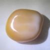 28.8 carats Cassis Cornuta Pearl