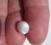 3+ carat Clam Pearl with Full Flame 11mm