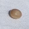 3+ Carat Light Brown Conch Pearl Oval
