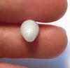 3.40 Carat Pointed Cylinder Clam Pearl
