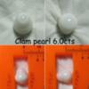 6.0carat clam pearl