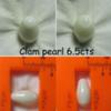 Clam Pearls 6.5cts 