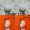 clam pearls 5.8cts 