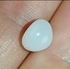 3+ ct Magnificent Clam Pearl Button