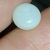 3+ ct Magnificent Clam Pearl Button