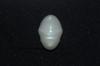 3.8 cts Clam Pearl