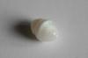 3.8 cts Clam Pearl