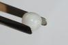 3.1ct clam pearl