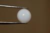 3.8 cts Clam Pearl