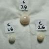 3 pearls of Cassis 12cts total weight 