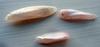 3 Pink Natural USA Wing Pearls