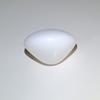 36 ct Clam Pearl for Sale