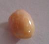 4 carat Conch Light Pink Pearl