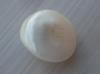 4.7 carat Natural USA Pearl
