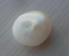 4.7 carat Natural USA Pearl
