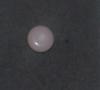 4.34 carat Quahog pearl - bottom
