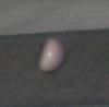 4.34 carat Quahog pearl - side