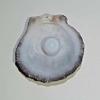 4+ ct Round Clam Pearl with Flame for Sale
