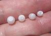 4 Full Flame Clam Pearl Oval Shaped 