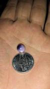 4.57cts Natural Purple Quahog Pearl