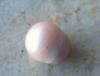 4mm Lavender Natural Freshwater Pearl