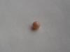 4mm Light Orange Conch Pearl
