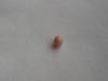 4mm Light Orange Conch Pearl