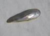 5 carat Abalone Pearl Whitish Iridescence