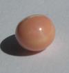 5.15ct conch pearl