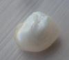 5.7ct Baroque Natural USA Pearl