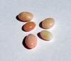 5 Conch Pearls Light Pink Ovals 8+ carats - Total