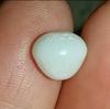 5 ct Clam Pearl 9mm for Sale