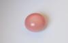 5.1 carat pink conch pearl