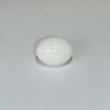 5+ ct Porcellanious Clam Pearl Egg for Sale