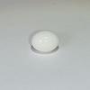 5+ ct Porcellanious Clam Pearl Egg for Sale